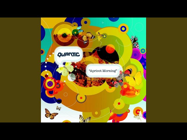 Quantic: El artista musical de perfiles mixtos