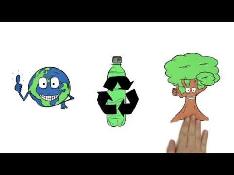 PET-Recyclingkreislauf: So läuft's rund.