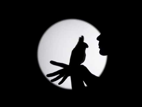 "Magie d'ombres et autres tours" par Philippe Beau à l'Espace Athic