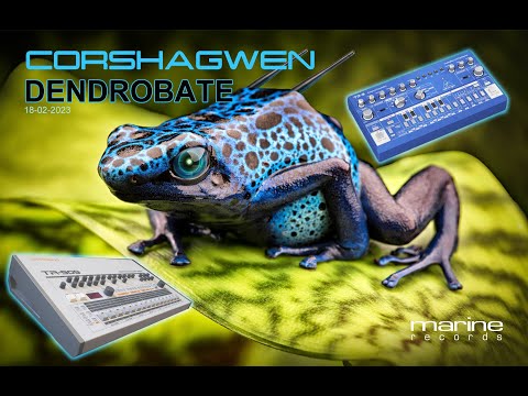 Corshagwen - Dendrobate (TR-909 / Moog GrandMother / V-synth)
