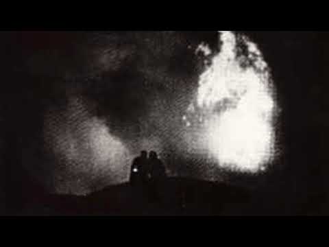 Release the Bats - Designed to Mislead You   -   LP 1986