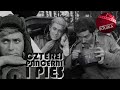 CZTEREJ PANCERNI I PIES Odcinek 5 Najlepsze Polskie Seriale Angielskie Napisy