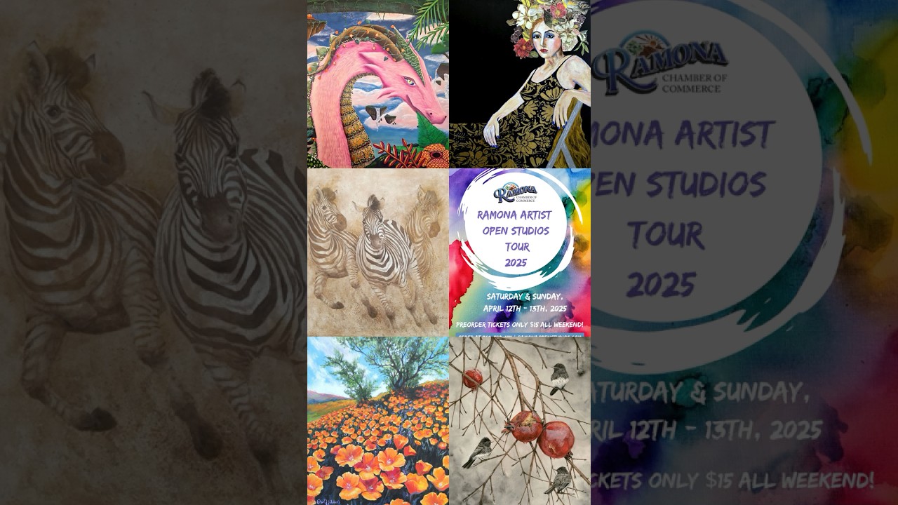 2026 Artist Preview Reel  - RAOST