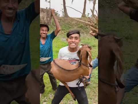 খাসি খে*লাম,, Food,, Cooking video,,, Food bloger