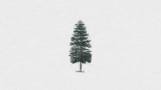 Download lagu John Michael Howell - Evergreen [ LYRIC VIDEO] mp3