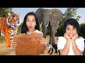 जब सच में जुमान्जी से हुआ सामना