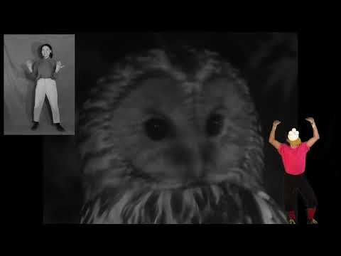 Yama Warashi - Saku Saku