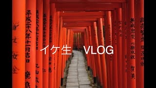 【vlog】根津神社にいってみた