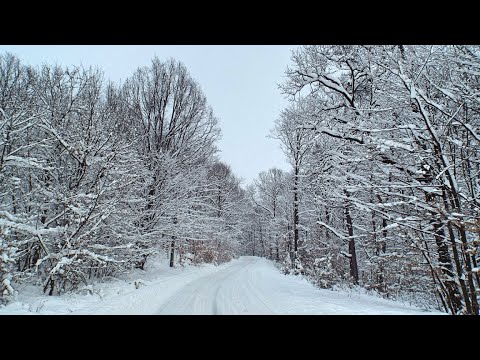 Fedeleşoiu - Runcu - Râmnicu Vâlcea | Traseu drumeție - iarna