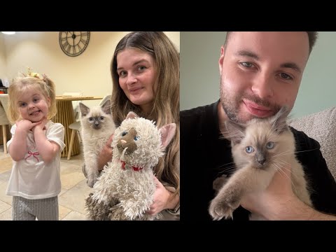 Meet Our New Kitten.. Surprising Arabella With CAT