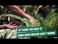 Ten things you need to know when healing early trauma