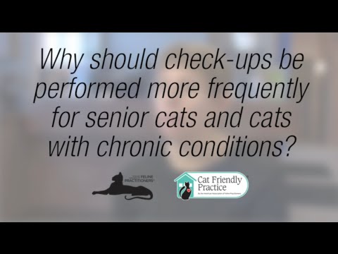 Why should check-ups be performed more frequently for senior cats and cats with chronic conditions?