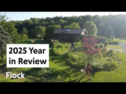 Everything We BUILT, GREW, & LEARNED in 2025 — Ep. 349