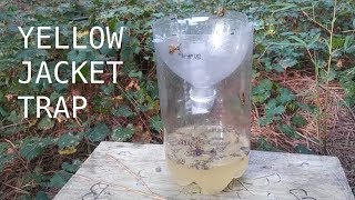 DIY Yellow Jacket Trap - Cheap Easy 2-Liter Bottle Trick - All Natural