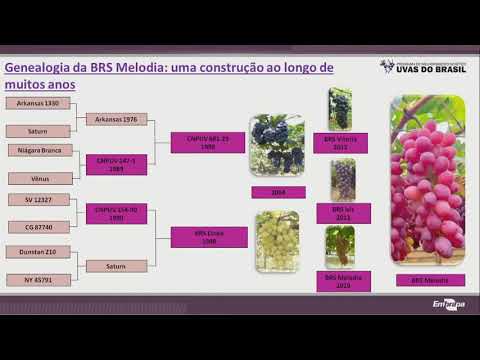 , title : 'BRS Melodia para o Semiárido Técnicas e Recomendações'