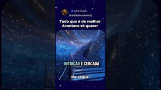 8 de agosto de 2026