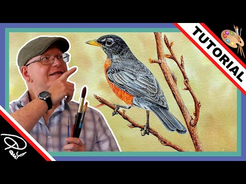 Realistic Watercolor Bird Painting Tutorial (Robin Part 1)