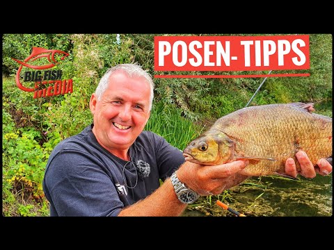 Friedfischangeln: Die wichtigsten Helfer fürs Angeln mit der Waggler-Pose - Tipps vom Profi