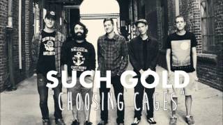 Such Gold - Choosing Cages