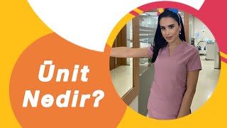 Diş Teknikerliği | Üniti tanıma
