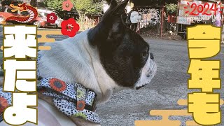 初詣行くけど何を誓おうか？🤔