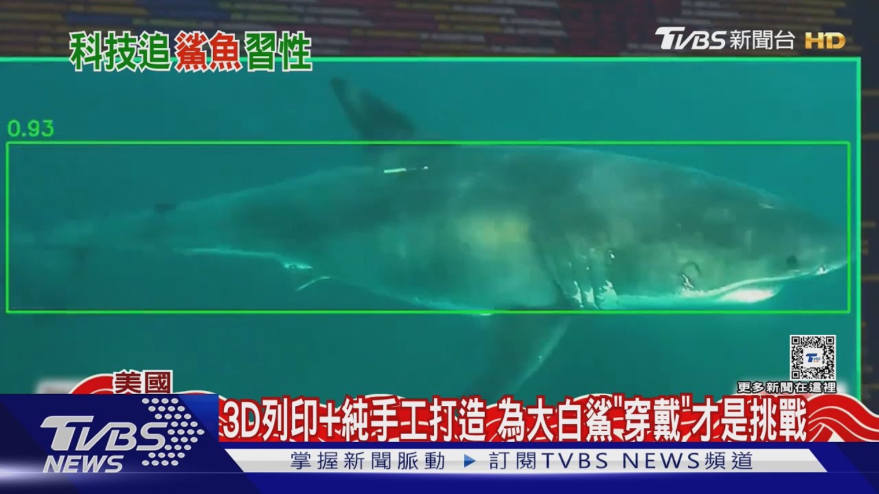 追蹤大白鯊! 加州研究團隊推出鯊魚專屬「穿戴裝置」