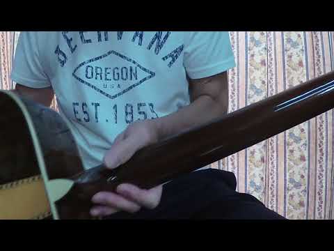 Morris W40 Brazilian Rosewood Jacaranda 1970's Natural Terada image 22