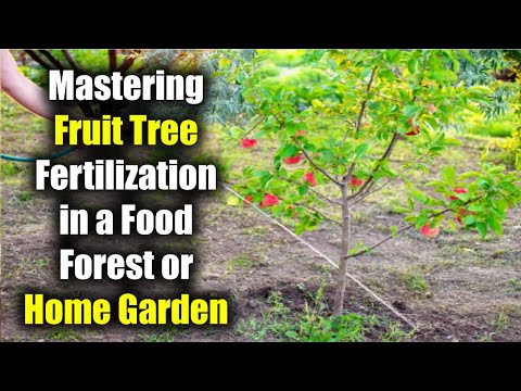 Mastering Fruit Tree Fertilization in a Food Forest or Home Garden