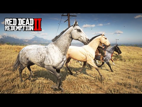 Domando muitos CAVALOS de todas as formas possíveis - O DOMADOR SUPREMO  -  Red Dead Redemption 2