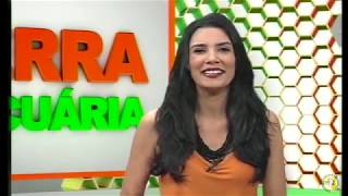 Miniatura do vídeo