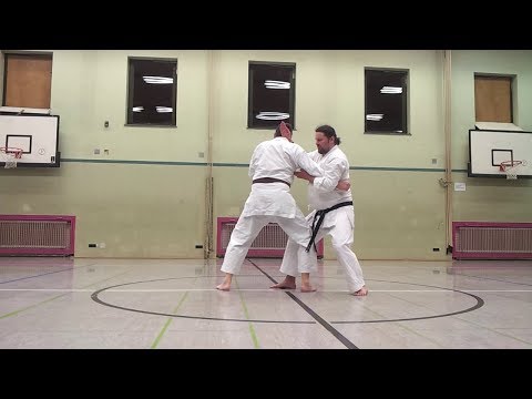 Heian Nidan / Pinan Shodan Bunkai/Oyo (applications only) - Kata Karate
