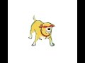 Martha Was An Average Dog