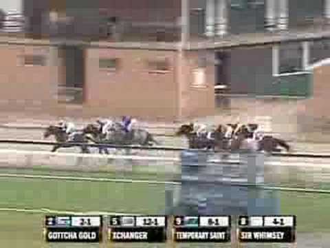 Pimlico Special 2008