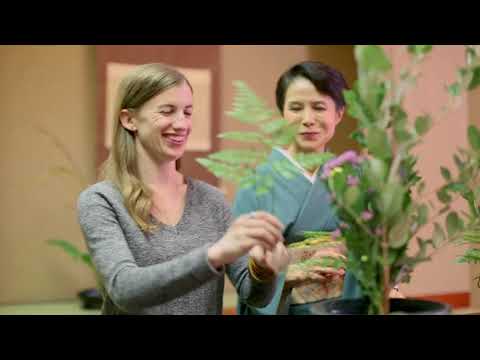 Fun City Nihonmatsu!