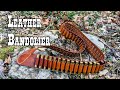 Making a leather Bandolier to carry extra 45-70