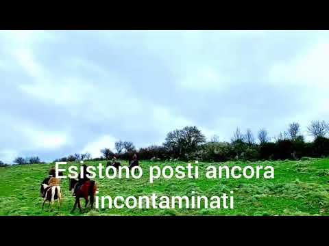 Passeggiate a cavallo e trekking