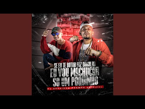 Se Eu Te Botar Faz Barulho X Eu Vou Machucar Só um Pouquinho (feat. MC Teteu & Mc Gw)