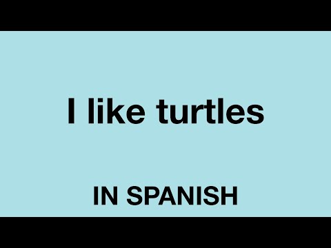 How To Say (I like turtles) In Spanish