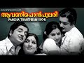 Aavanipponpulari Best Malayalam Song K J Yesudas Prem Nazir Jayabharathi
