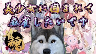 【雀魂】深夜におとなしく麻雀する犬です【バーチャルドッグ】