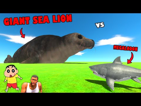 GIANT SEA LION vs MEGALODON in Animal Revolt Battle Simulator with SHINCHAN FRANKLIN and CHOP