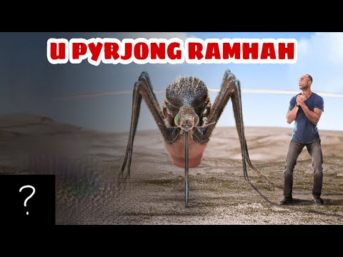 KI PYRJONG BA HEH KAT KI BRIEW | KA Jingshisha