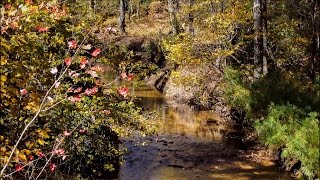 Relaxing Nature Video: Best of the Blue Ridge Parkway (2015)