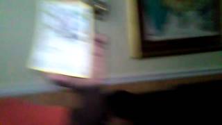 Ultimate rocking kids no lania