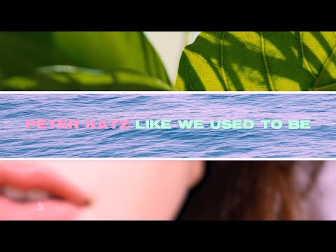 Peter Katz  - Like We Used To Be  [Official Lyric Video]