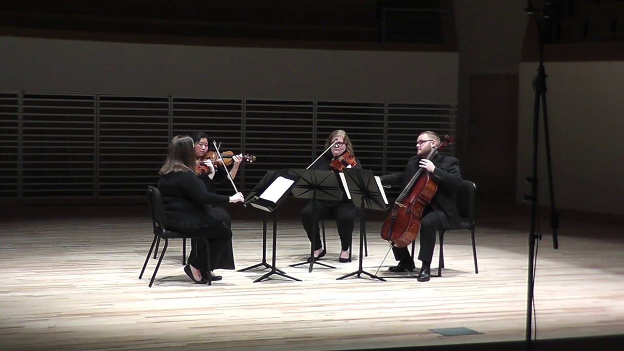 Promotional video thumbnail 1 for Victoria Senko - Violinist