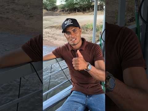 PARTIU SENADOR RUI PALMEIRA