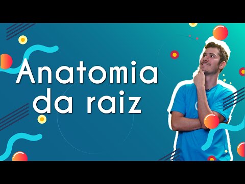 Root anatomy - Brasil Escola