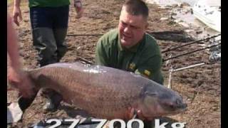 preview picture of video 'Carp fishing in Raduta lake 2009 - 1'