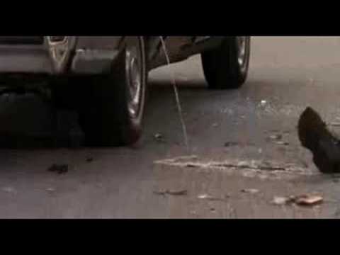 Steven Seagal Cremated or Buried?